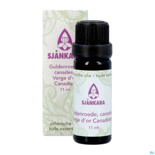 Productshot Sjankara Canadese Guldenroede Ess. Olie 11ml