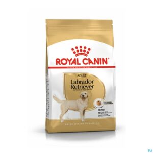 Productshot Royal Canin Dog Labrador Retriever Adult Dry 12kg