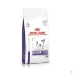 Packshot Royal Canin Dog Dental Small Dog Dry 1,5kg