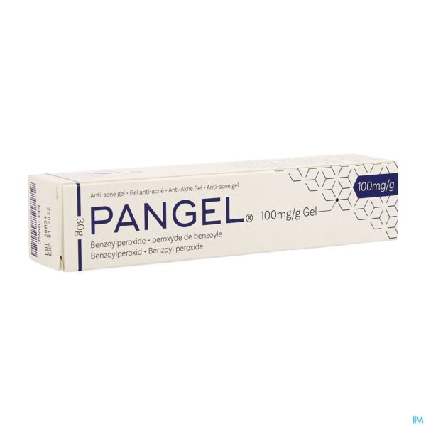 Packshot Pangel 10% Gel Tube 30g