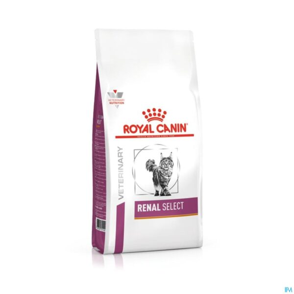 Productshot Royal Canin Cat Renal Select Dry 2kg