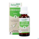 Productshot Herbalgem Citroenboom Bio 30ml