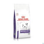 Packshot Royal Canin Dog Neutered Adult Small Dog Dry 8kg