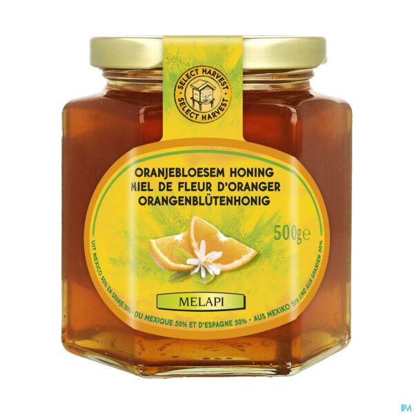 Packshot Melapi Honing Oranjebloesem 500g 3049 Revogan