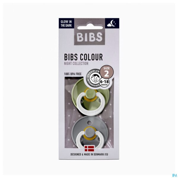 Packshot Bibs 2 Fopspeen Duo Glowindark Sage/cloud 2 Packshot Bibs 2 Fopspeen Duo Glowindark Sage/cloud 2