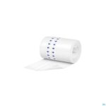 Productshot Omnifix Silicone 10cmx5m 9000010