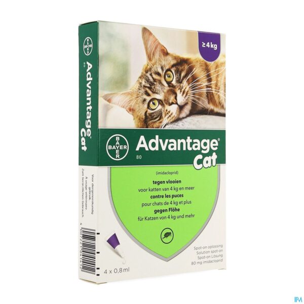 Packshot Advantage 80 Katten >4kg 4x0,8ml Packshot Advantage 80 Katten >4kg 4x0,8ml