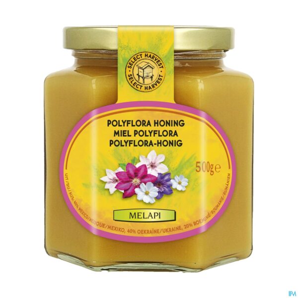 Packshot Melapi Honing Polyflora Zacht 500g 5531 Revogan