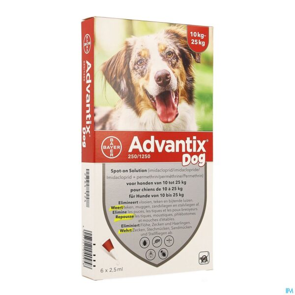 Packshot Advantix 250/1250 Honden 10<25kg Fl 6x2,5ml Packshot Advantix 250/1250 Honden 10