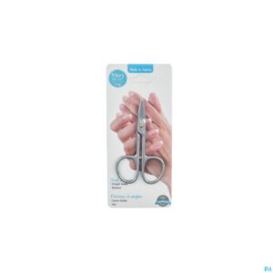 Packshot Nagelschaar Recht Inox Blinkend