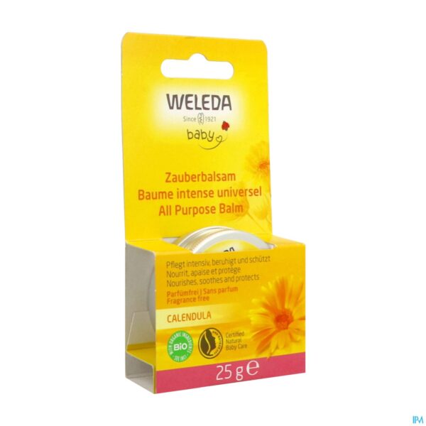 Packshot Weleda Calendula Alles In ÉÉn Balsem 25g