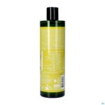 Packshot Weleda Energy Douchegel Gember Fl 400ml