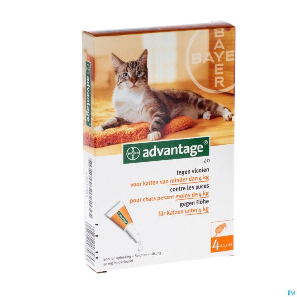 Packshot Advantage 40 Katten