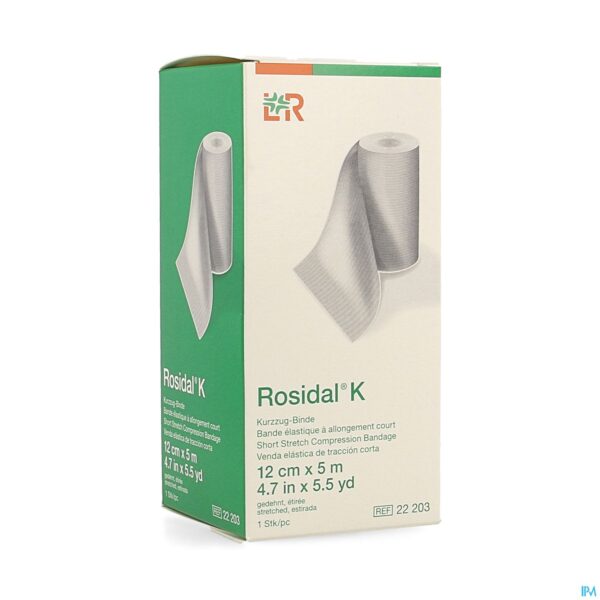 Packshot Rosidal K Elastische Windel 12cmx5m 22203