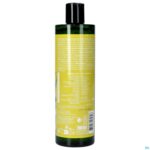 Packshot Weleda Energy Douchegel Gember Fl 400ml
