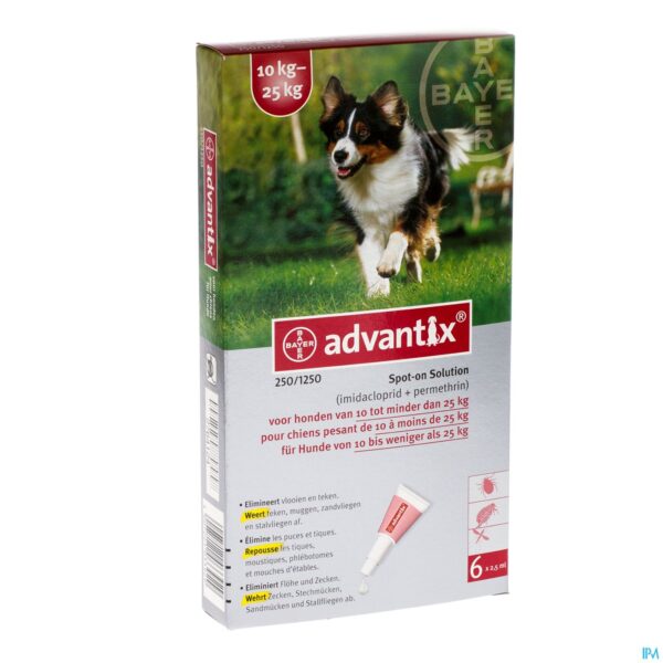 Packshot Advantix 250/1250 Honden 10
