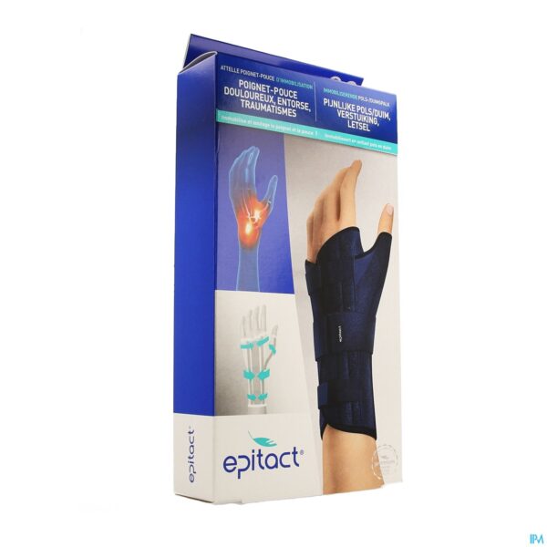 Packshot Epitact Spalk Pols Duim Rechts S