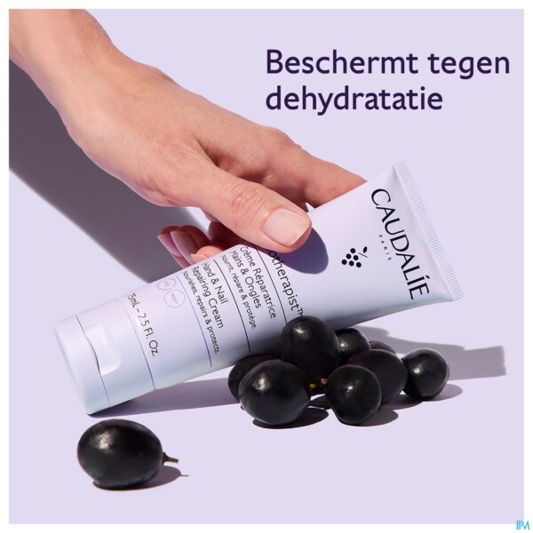 Lifestyle_image Caudalie Kerst Set Trio Handcreme 2026 3 Prod.