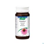 Productshot A.Vogel Echinaforce 200 tabletten