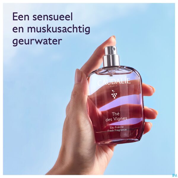 Lifestyle_image Caudalie Kerst Set The Vignes 50ml 2026 4 Prod.