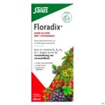 Packshot Salus Floradix Elexir 250ml