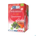 Packshot Biolys Aalbes Sach 24