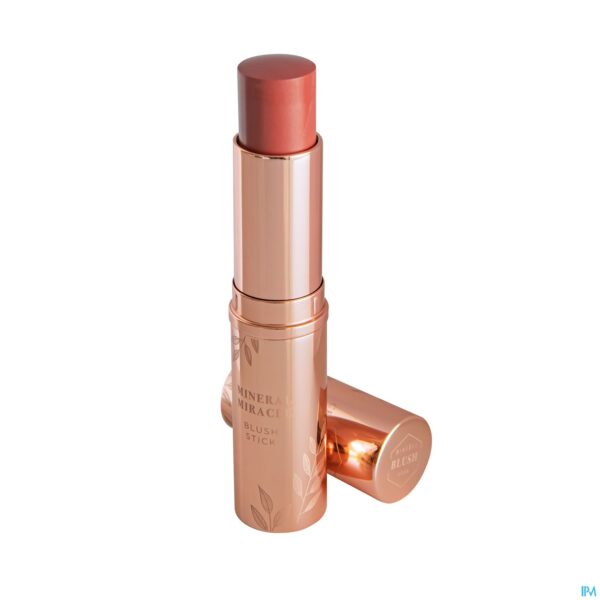 Productshot Cent Pur Cent Big Powder Brush 16