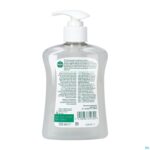 Packshot Dettol Wasgel Aloe Vera & Bamboe 250ml