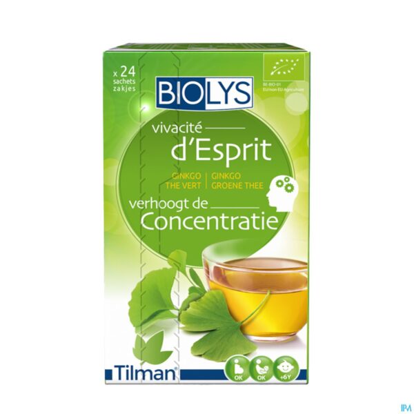 Packshot Biolys Ginkgo Groene Thee Sach 24