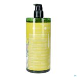 Packshot Weleda Energy Douchegel Gember Fl 750ml