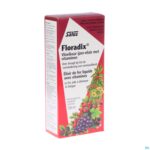 Packshot Salus Floradix Elexir 250ml