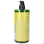Packshot Weleda Energy Douchegel Gember Fl 750ml